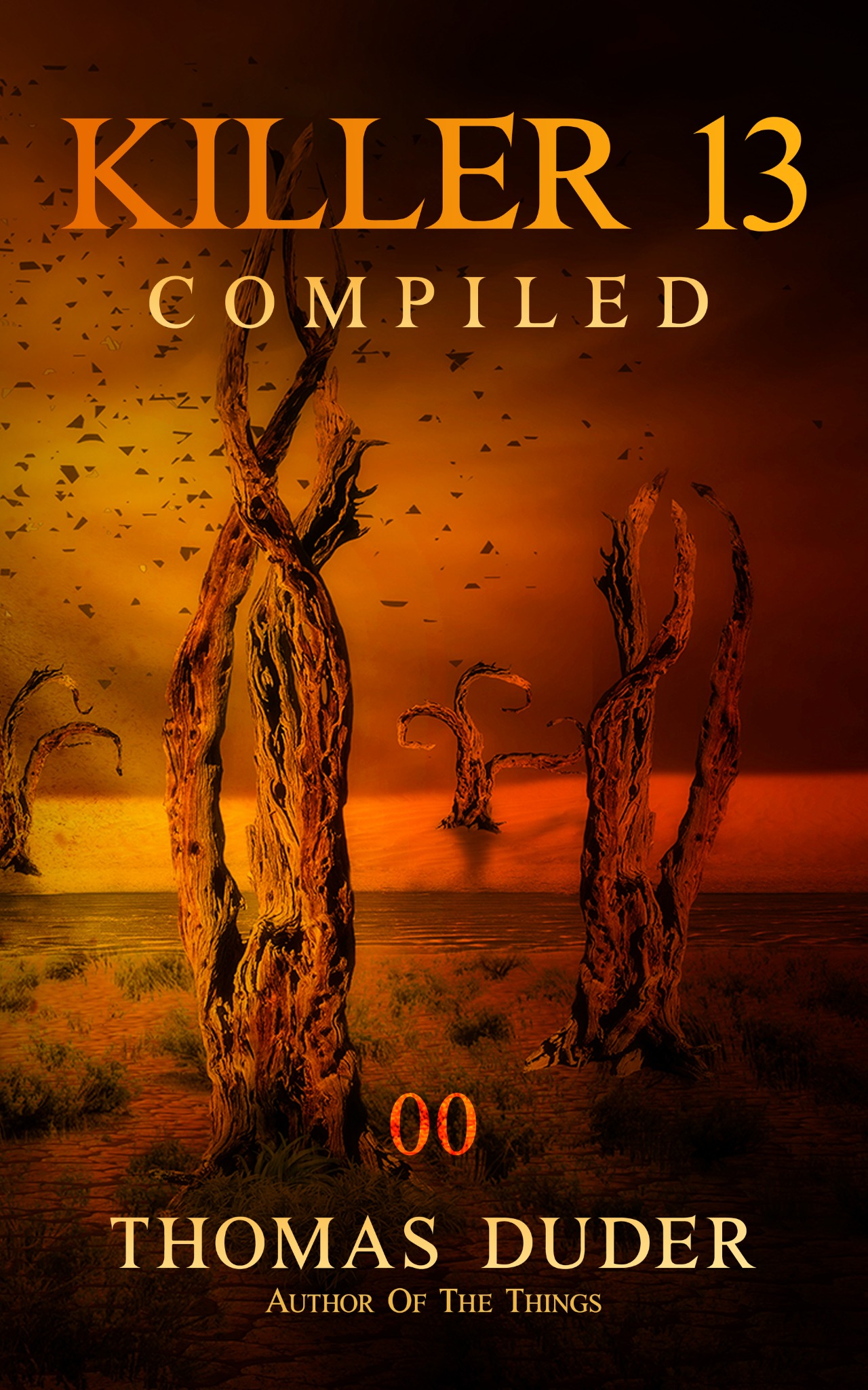 Killer 13 Compiled 00 official book cover